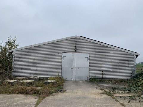 Klipphausen Halle, Klipphausen Hallenfläche