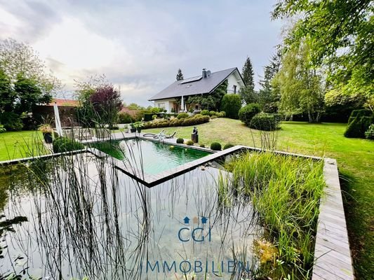 Naturschwimmteich