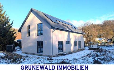 Eisenberg Häuser, Eisenberg Haus kaufen