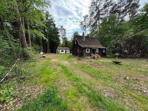 Buchholz in der Nordheide / Holm-Seppensen Grundstücke, Buchholz in der Nordheide / Holm-Seppensen Grundstück kaufen