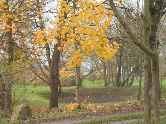 Rakower Park