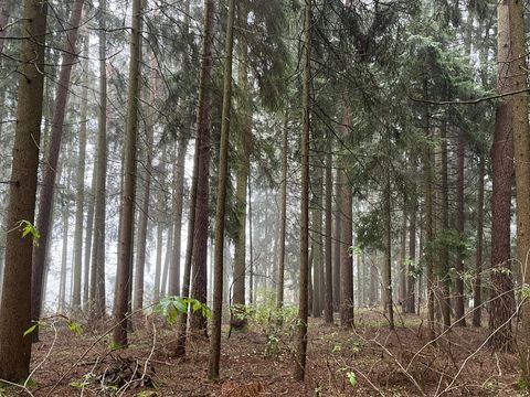 Rattenberg Bauernhöfe, Landwirtschaft, Rattenberg Forstwirtschaft