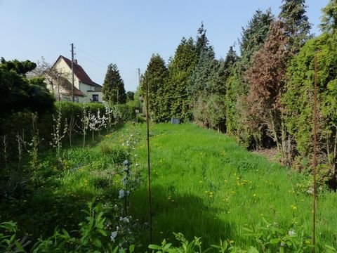 Riesa Grundstücke, Riesa Grundstück kaufen