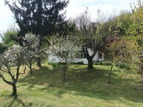 Draz Häuser, Draz Haus kaufen