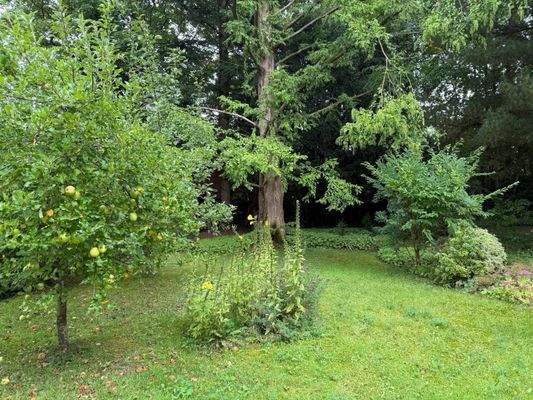 Einladender Gartenbereich