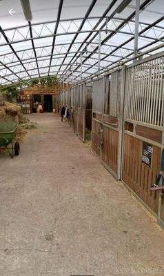 Stallgasse Freiluftstall (Allergiker geeignet)