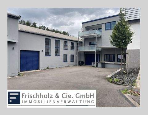 Olpe Halle, Olpe Hallenfläche