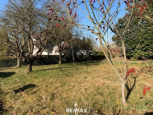 5_Garten