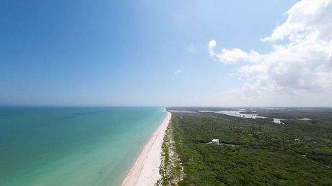 Pueblo Sisal Bauernhöfe, Landwirtschaft, Pueblo Sisal Forstwirtschaft