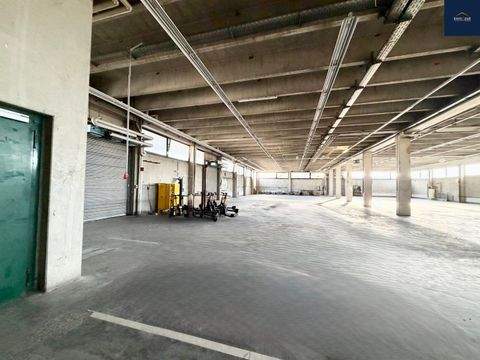 Ditzingen Halle, Ditzingen Hallenfläche