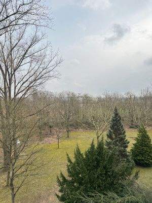 Ausblick Balkon / Schlafzimmer