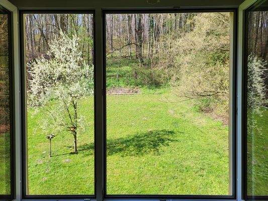 Ausblick Schlafzimmer