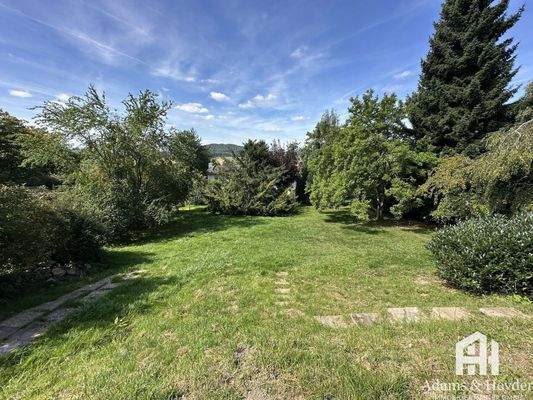 Blick von Terrasse in Garten