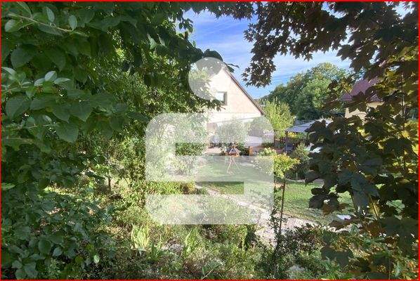 Blick über den Zaun I