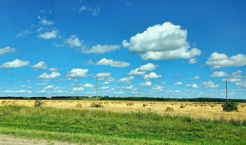 Daun Bauernhöfe, Landwirtschaft, Daun Forstwirtschaft