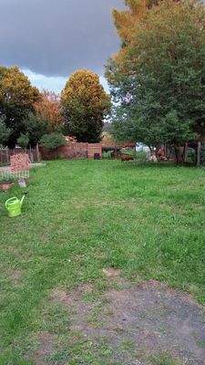 Garten  hinter dem Haus