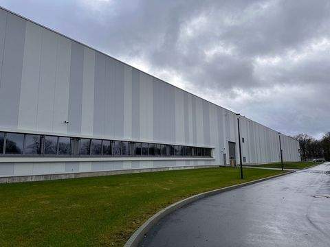 Saerbeck Halle, Saerbeck Hallenfläche