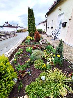 gepflegter Vorgarten