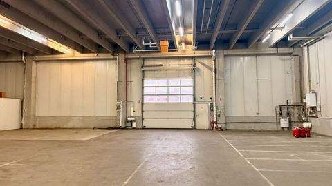 Weinstadt Halle, Weinstadt Hallenfläche