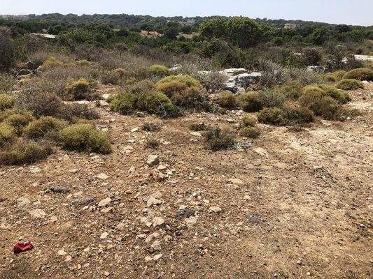 Kreta, Gerani: Erstklassiges Grundstück mit Meerblick nahe Rethymno zu verkaufen