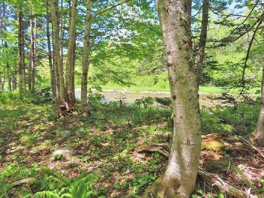 Cape Breton - Traumhaft schöne Naturlage am Middle