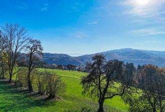 13_20251104131313_0088_D