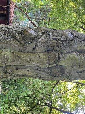 Schlosspark (16).JPG