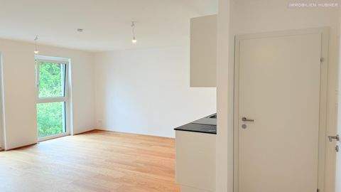 Wien Wohnungen, Wien Wohnung mieten
