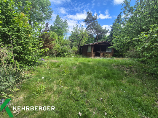 Garten mit Gartenlaube