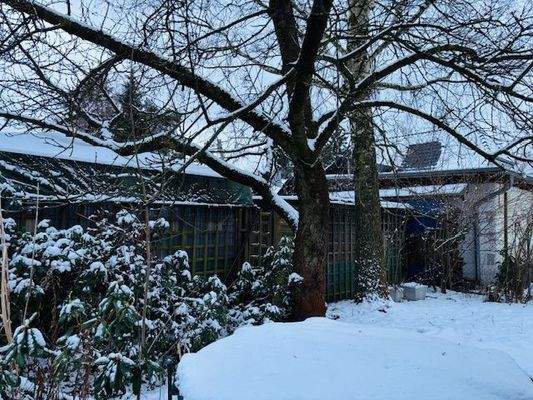 hinterer Gartenbereich