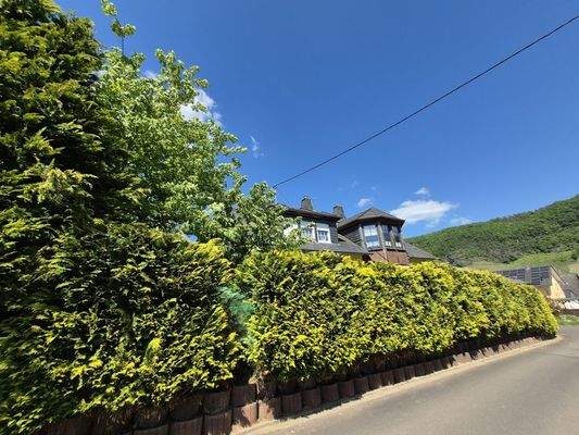 Grundstück gut eingewachsen und nahezu blickdicht