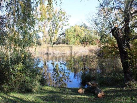 das traumhafte Mühlwasser