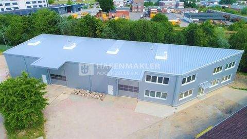 Lübeck Halle, Lübeck Hallenfläche