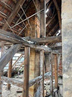 WhatsApp Bild 2025-10-13 um 07.36.15_2efad8b4.jpg