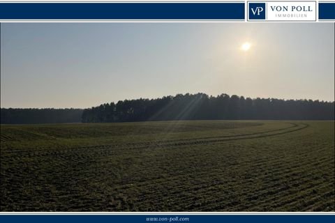 Rheinsberg Wallitz / Wallitz Bauernhöfe, Landwirtschaft, Rheinsberg Wallitz / Wallitz Forstwirtschaft
