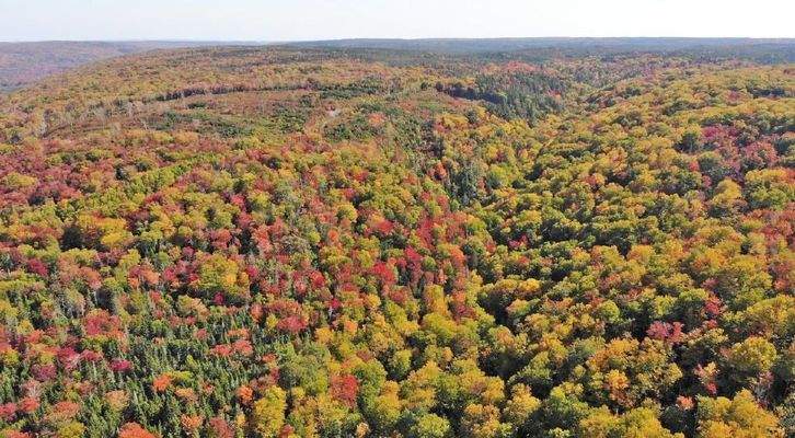 Nova Scotia - West Side Country Harbour - 52-Hekta