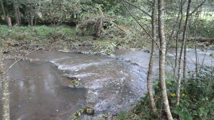 Flüsschen an der Grundstücksgrenze