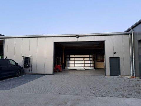 Freystadt Halle, Freystadt Hallenfläche