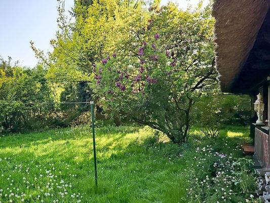 Der Garten im Sommer 
