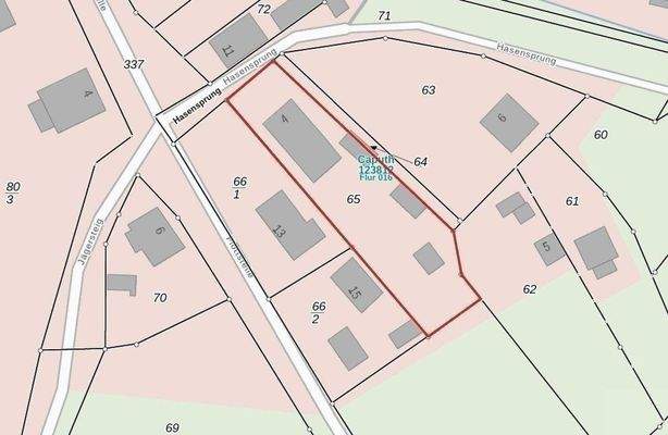 Auszug Liegenschaftskataster Caputh.jpg