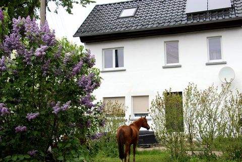 Lumpzig Häuser, Lumpzig Haus kaufen