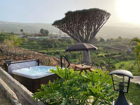 WhatsApp Image 2025-05-01 at 12.52.10 (1).jpeg