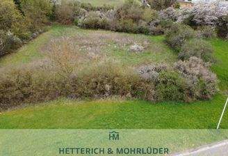 Drohnenaufnahme Grundstück Straßenseite