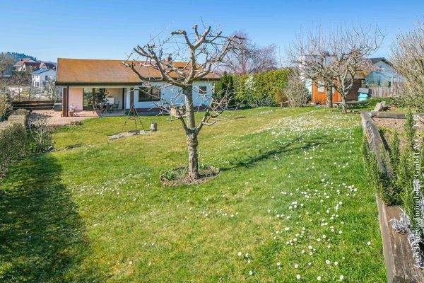 pflegeleichter Garten