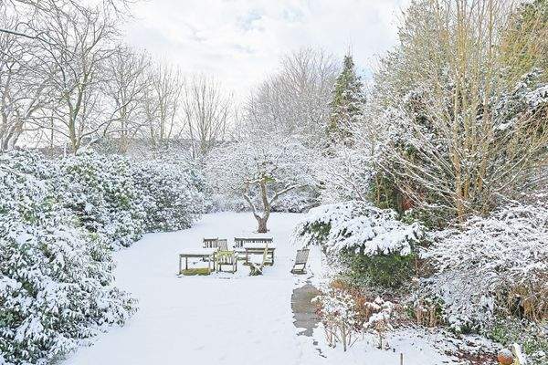 Der Garten ist eingewachsen von Büschen und üppigen Rhododendren