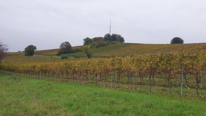 Sicht auf den Kirchberg 