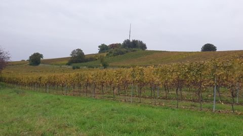 Hackenheim Grundstücke, Hackenheim Grundstück kaufen