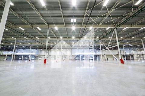 Köln Halle, Köln Hallenfläche