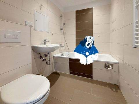 Magdeburg Wohnungen, Magdeburg Wohnung mieten