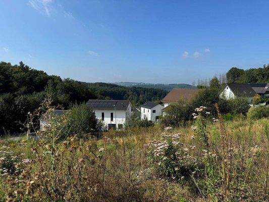 Eckgrundstück Aug 24.jpg